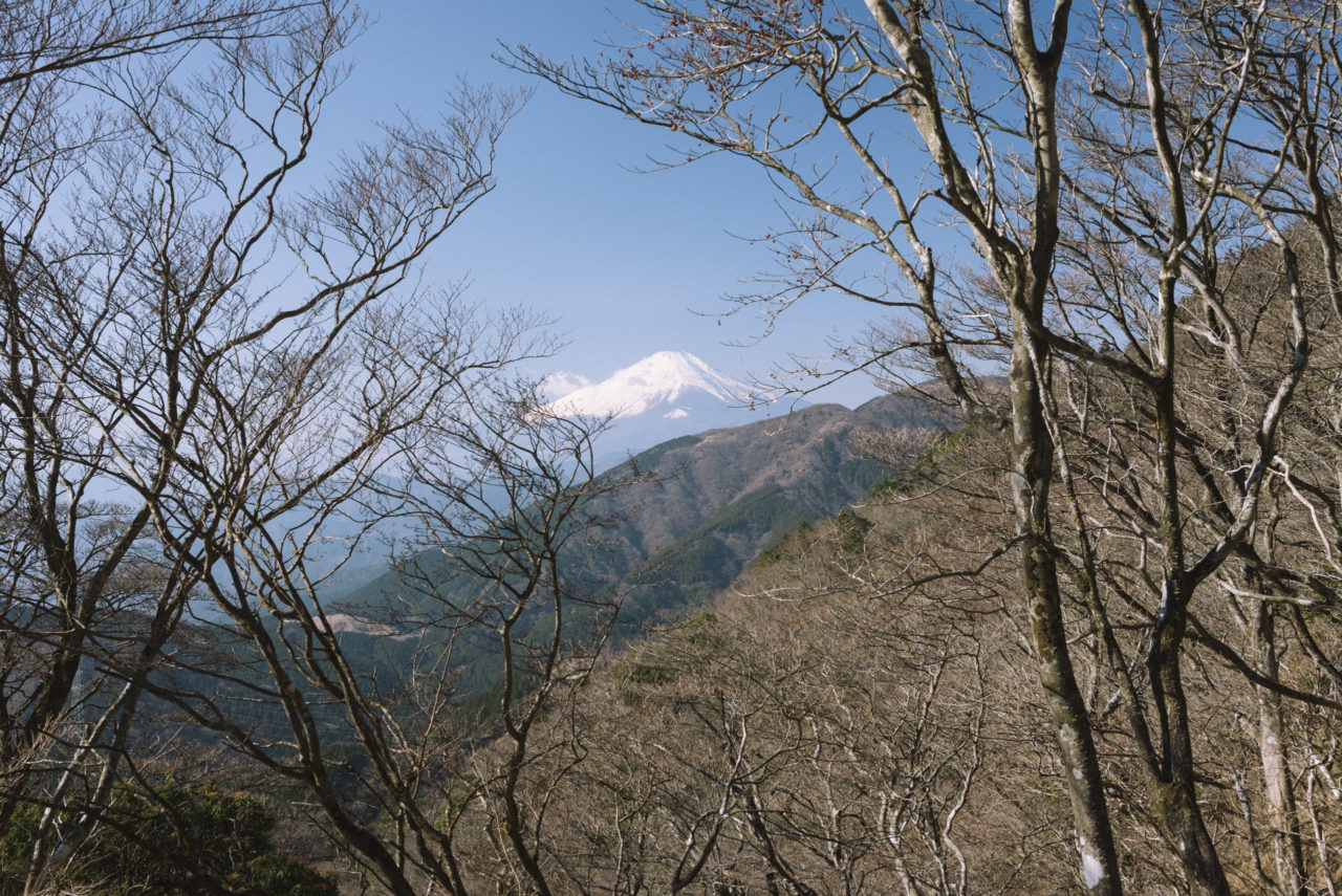 富士見台から見る富士山