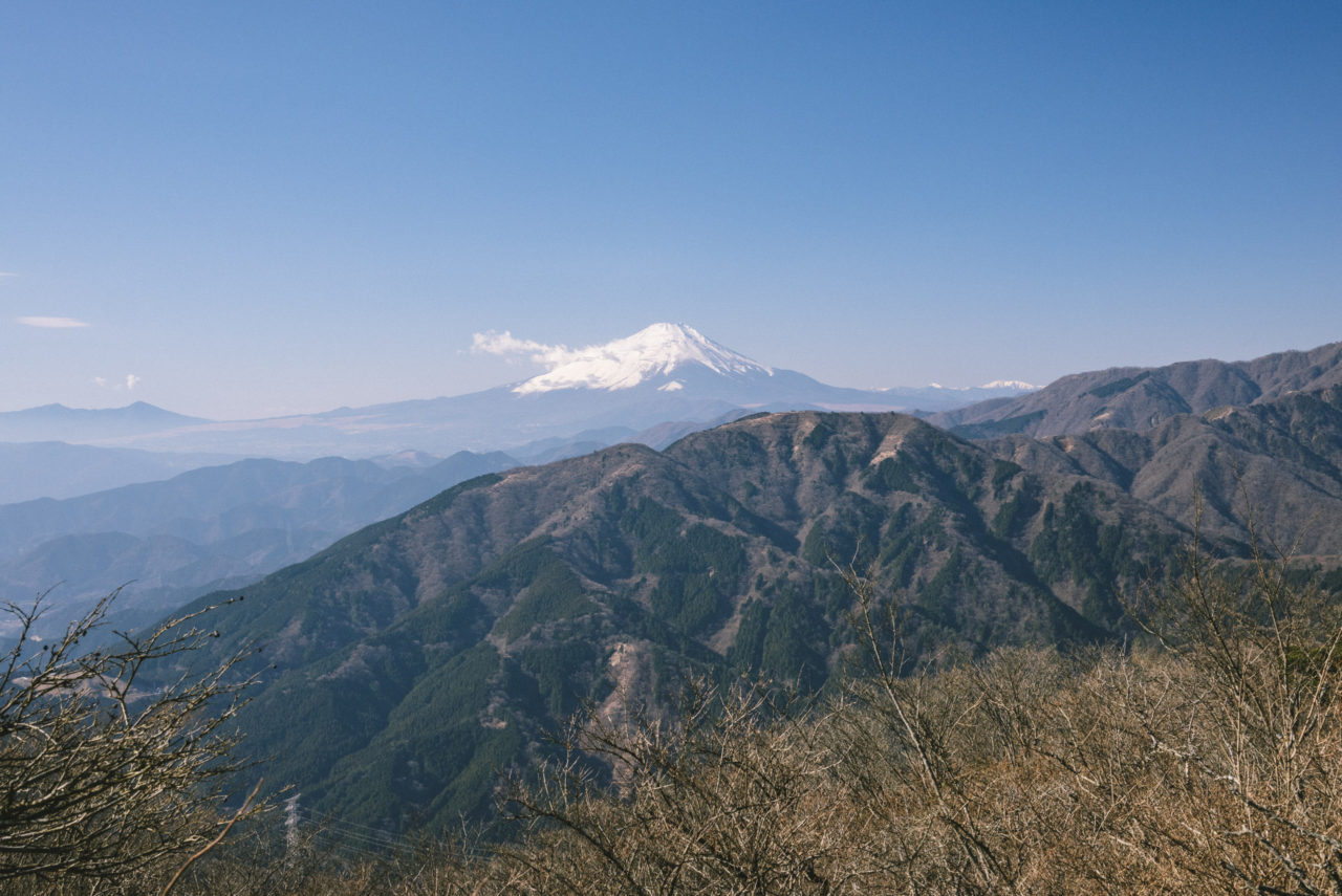 大山から見る富士山