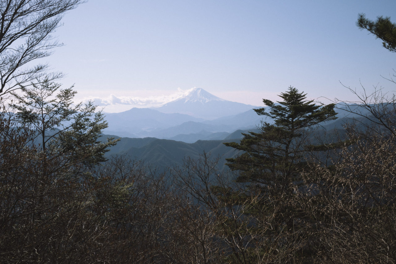 三頭山から見る富士山