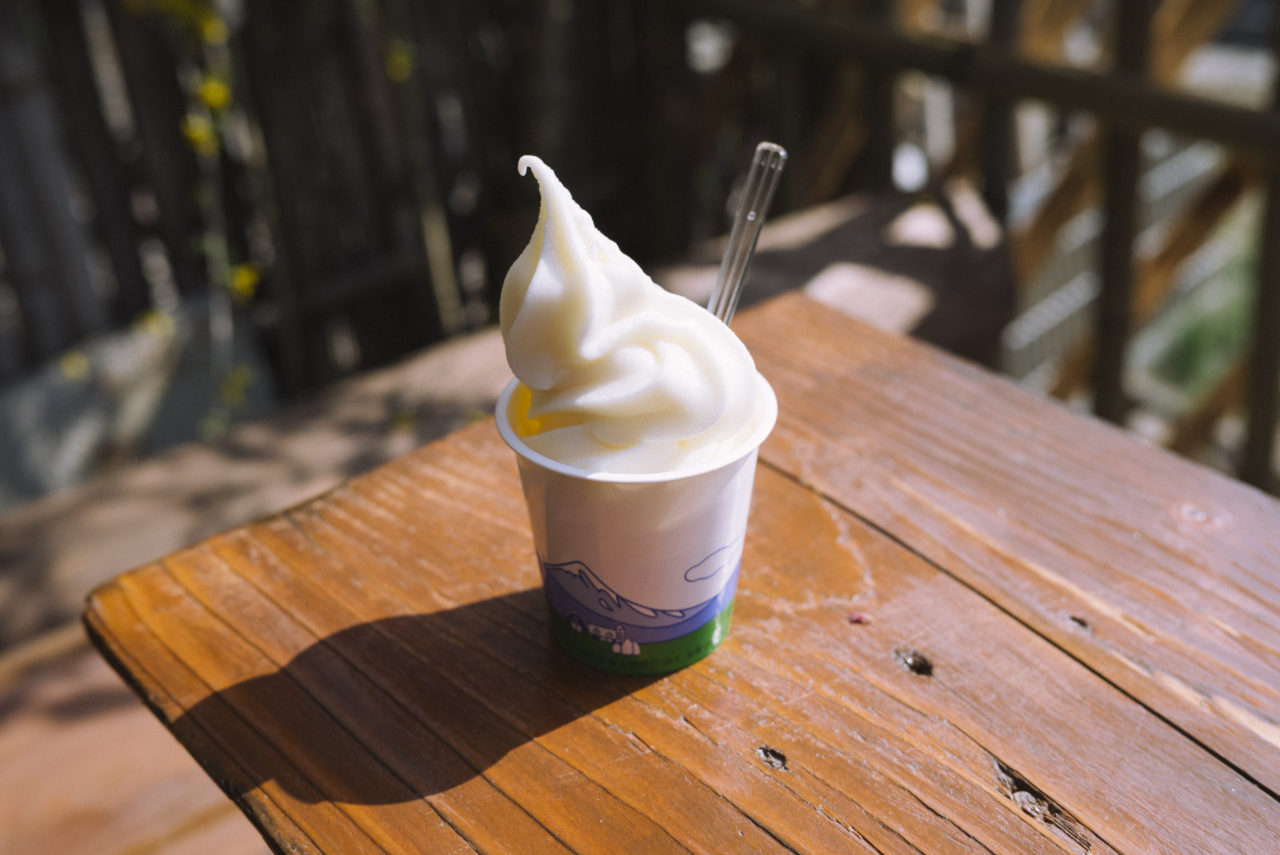 花見山で食べるソフトクリーム